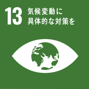 sdg icon 13 ja 2 290x290